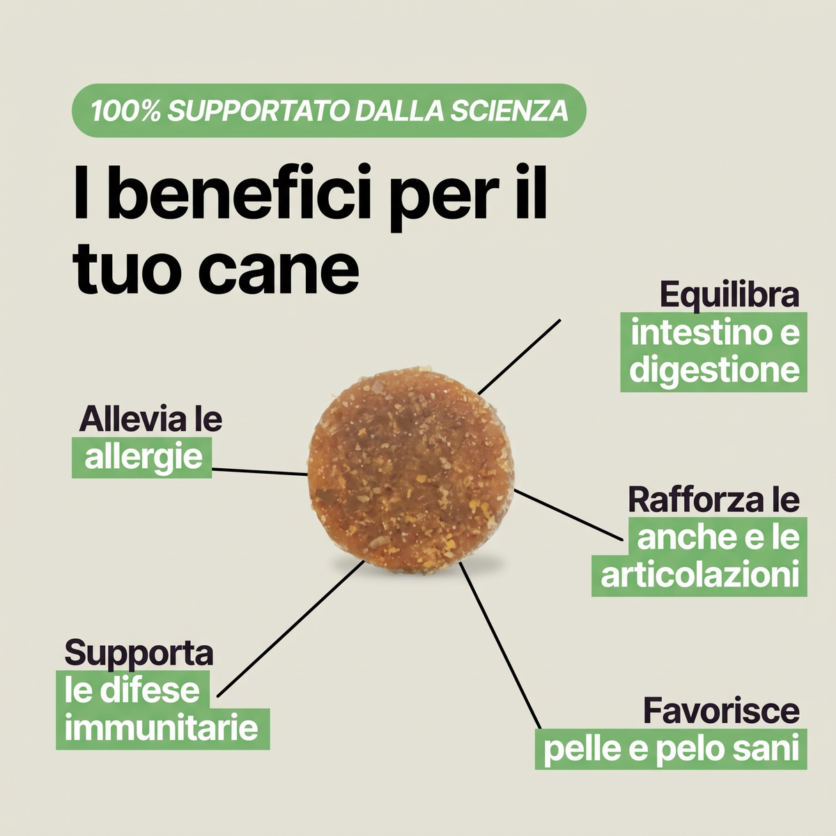 I benefici di VitaPaw: intestino e digestione, difese immunitarie, articolazioni, pelle e pelo