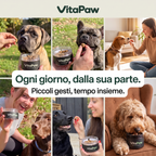 Cani di razze diverse ricevono i bocconcini VitaPaw dai loro proprietari