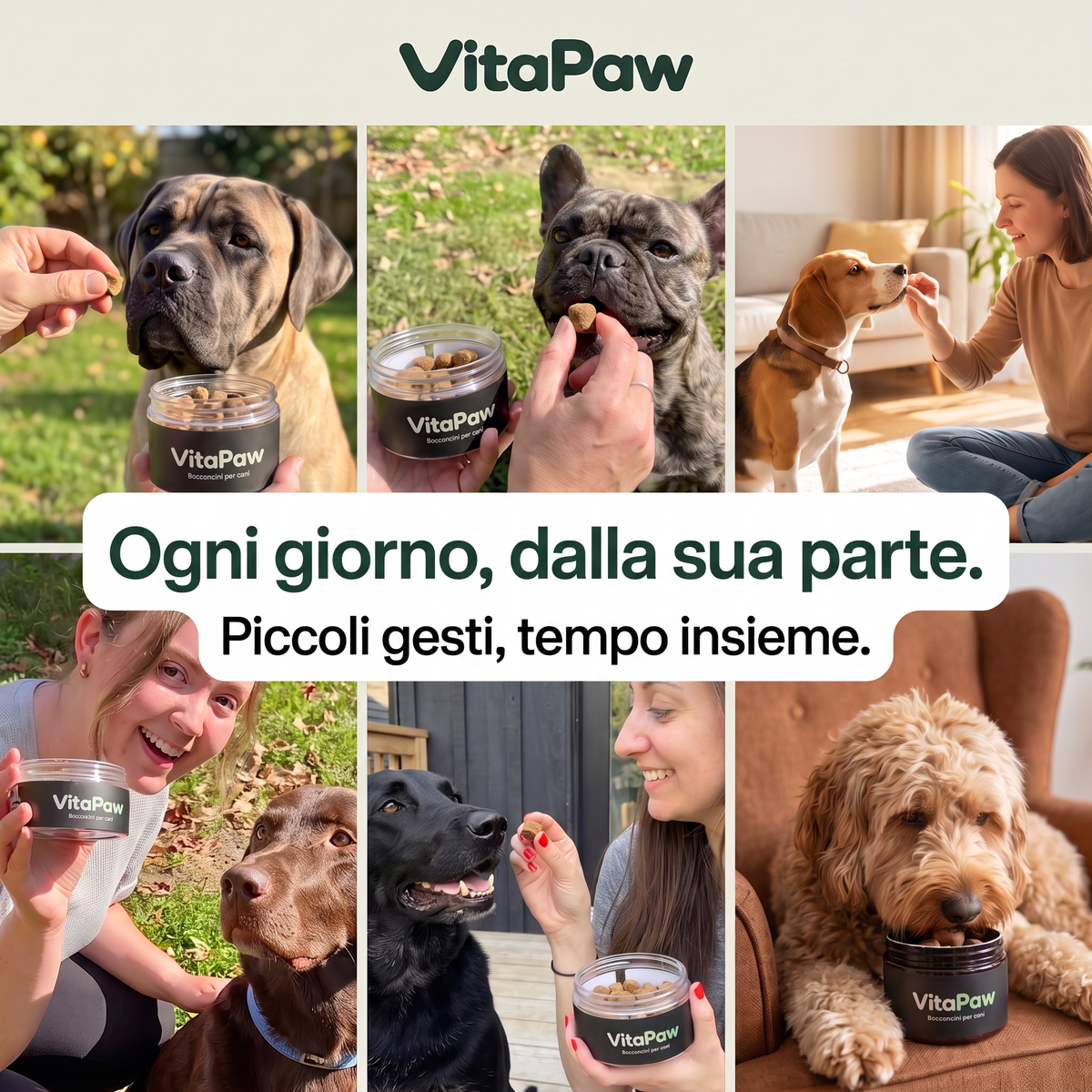 Cani di razze diverse ricevono i bocconcini VitaPaw dai loro proprietari