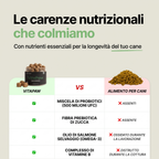 Confronto tra VitaPaw e un alimento per cani: probiotici, fibra di zucca, olio di salmone e vitamine B